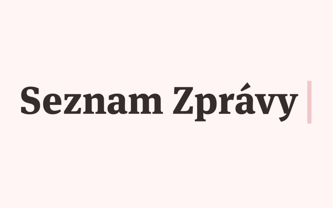 Článek z kulatého stolu na Seznam Zprávy