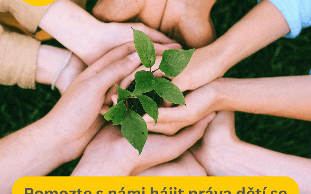 Spoluškola hledá dobrovolníka/ici – právníka/čku do své bezplatné právní poradny